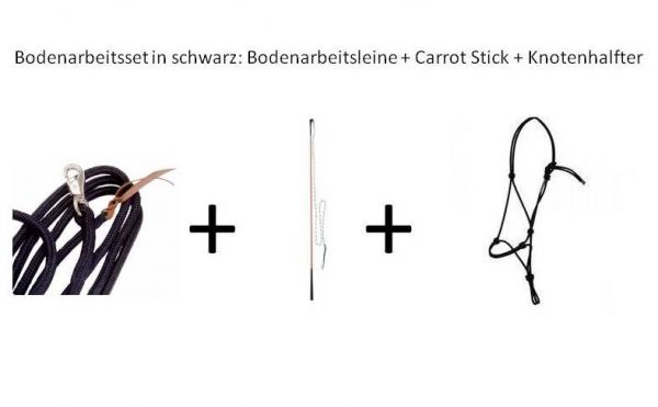 Bodenarbeitsset Halfter+Leine+Strick