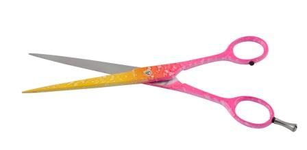 Schere Rainbow