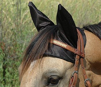 Cashel Comfort Ears