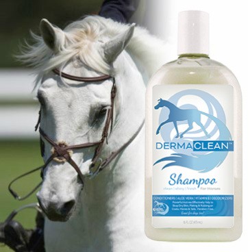 Derma Clean Shampoo für Pferde und Hunde