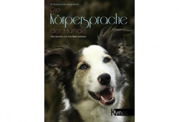 Die Körpersprache der Hunde