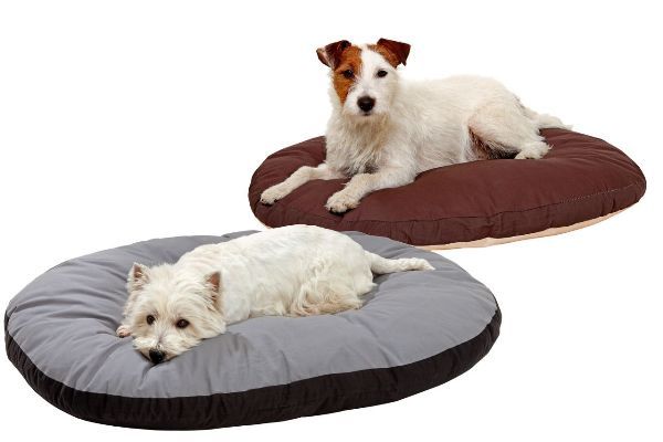 Liegekissen Doc Bed, oval, grau/schwarz