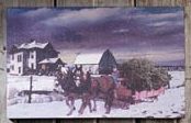 Canvas Coming Home with Christmas Tree