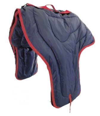 Pools Sattel Tragetasche