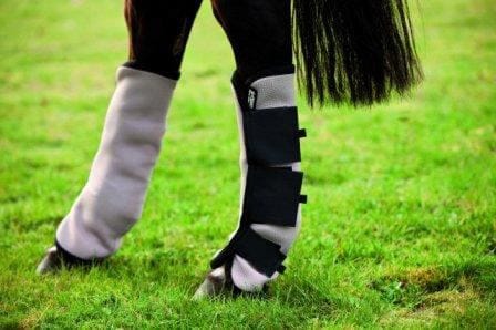 Flyboots