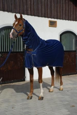 Bucas Power Cooler Full Neck
