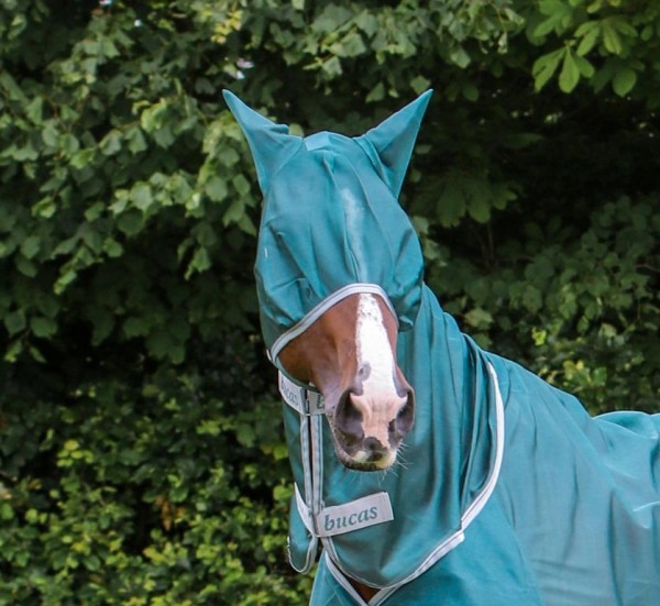 Bucas Freedom Fly Mask Fliegenmaske mit Ohren