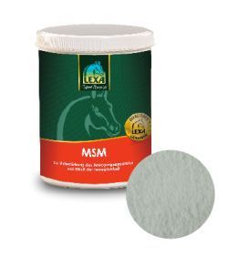 MSM (Methyl-Sulfonyl-Methan) 1KG