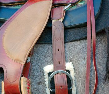 Cashel Leather Breathe Easy -elastisches Off Billet