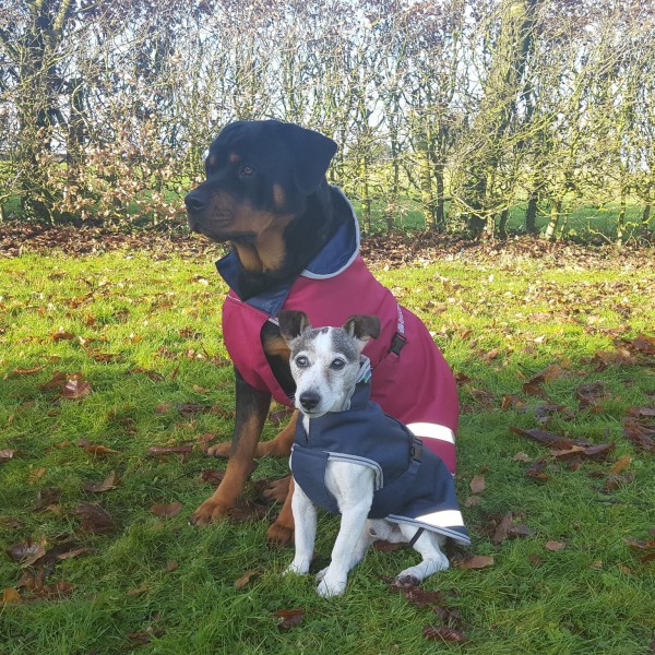 Bucas Freedom Dog Rug 50G