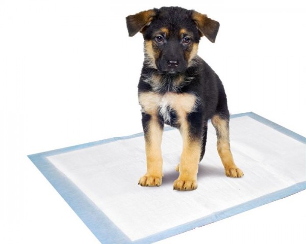 Puppy Pads Trainingsmatte S