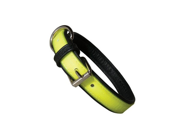 Julius K9 IDC Lumino Halsband