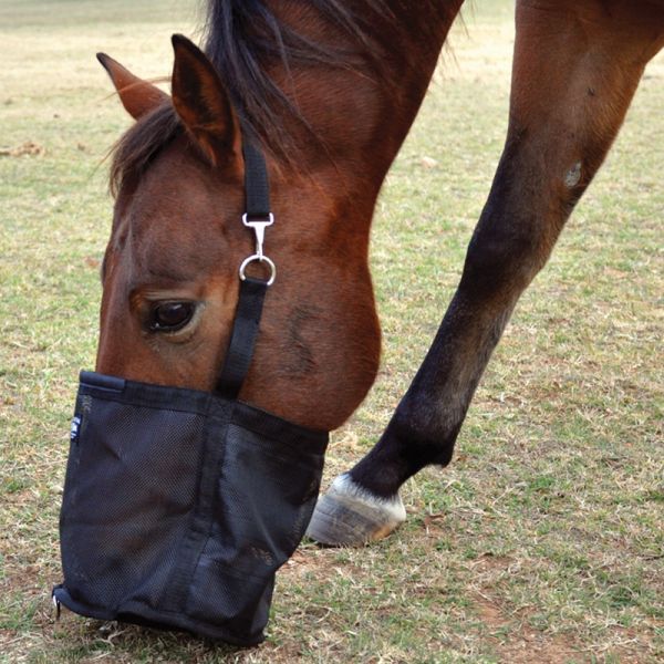 Cashel Feed Rite Bag
