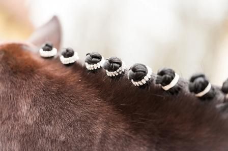 Mähnengummis mit Strass