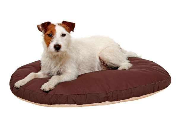 Liegekissen Doc Bed, oval, beige/braun