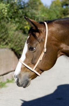 Mouth Closer Leder