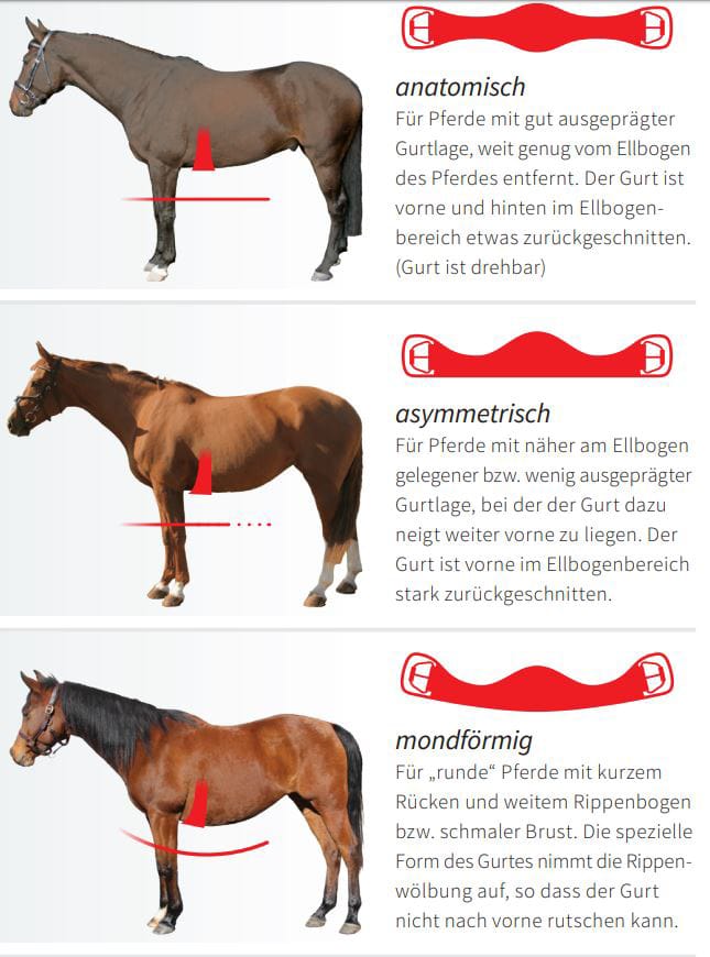 Übersicht Körperbau und zugehörige Gurtformen