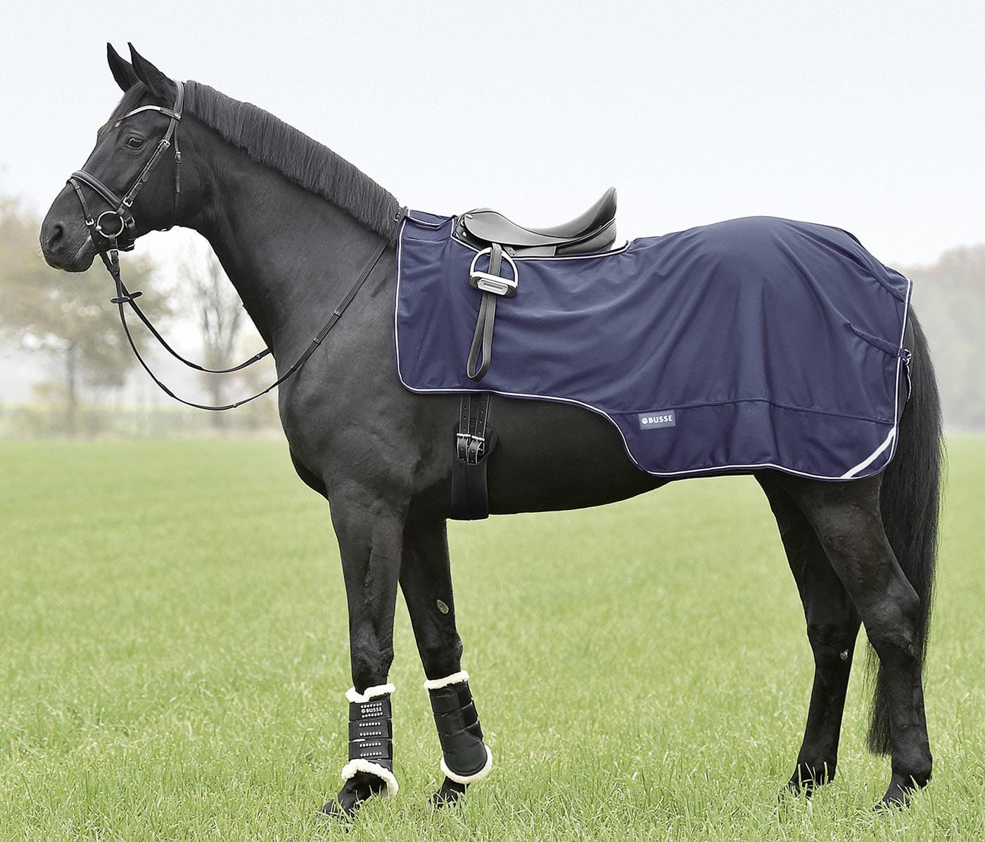 Busse Softshell Ausreitdecke