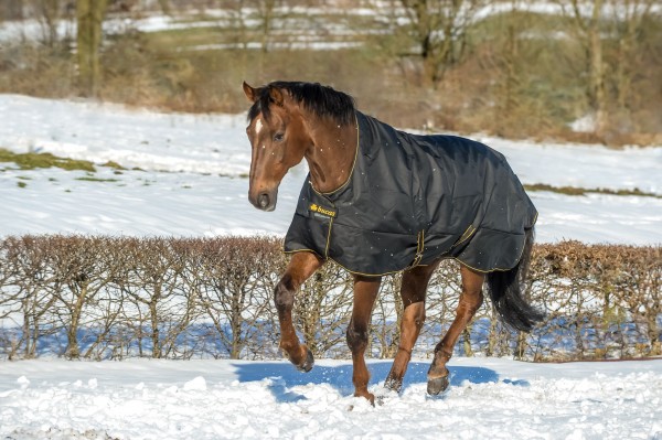 Bucas Irish Turnout High Neck 300G